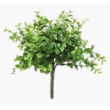 Künstliche Kräuter Eukalyptus JOSHUA zum Stecken, grün, 20cm, Ø17cm Künstliche Kräuter Eukalyptus JOSHUA zum Stecken, grün, 20cm, Ø17cm