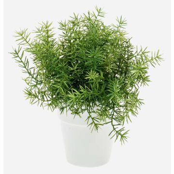 Künstliche Kräuter Asparagus sprengeri JOSHUA im Keramiktopf, 20cm, Ø17cm Künstliche Kräuter Asparagus sprengeri JOSHUA im Keramiktopf, 20cm, Ø17cm