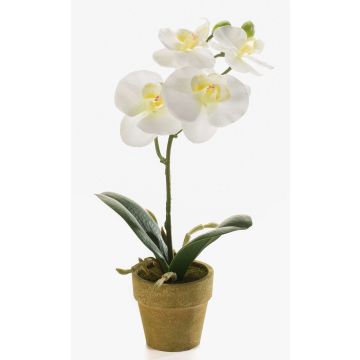 Kunstorchidee Phalaenopsis SETH im Dekotopf, creme, 25cm