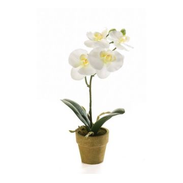 Kunst Phalaenopsis Orchidee SETH im Dekotopf, creme, 25cm