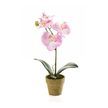 Kunstorchidee Phalaenopsis SETH im Dekotopf, rosa, 25cm