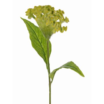 Kunstblume Hahnenkamm ANUBIS, grün-gelb, 60cm, Ø14cm Kunstblume Hahnenkamm ANUBIS, grün-gelb, 60cm, Ø14cm