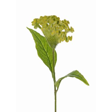 Kunstblume Hahnenkamm ANUBIS, grün-gelb, 60cm, Ø14cm