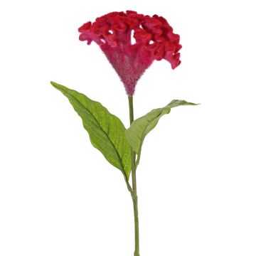 Kunstblume Hahnenkamm ANUBIS, violett-rot, 60cm, Ø14cm Kunstblume Hahnenkamm ANUBIS, violett-rot, 60cm, Ø14cm