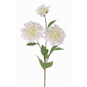 Dekoblume Dahlie ANJULIKA, weiß, 75cm, Ø6-12cm Dekoblume Dahlie ANJULIKA, weiß, 75cm, Ø6-12cm