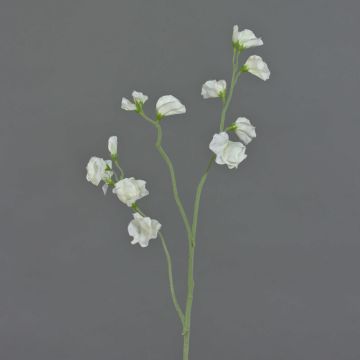 Dekoblume Lathyrus ASFALOTH, weiß, 65cm, Ø3-5cm