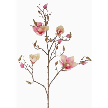 Kunst Magnolie LORA, creme-rosa, 110cm, Ø10-12cm Kunst Magnolie LORA, creme-rosa, 110cm, Ø10-12cm