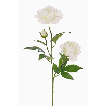 Unechte Pfingstrose ONYX, creme-weiß, 75cm, Ø10-13cm