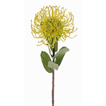 Kunst Nadelkissen Protea BAILY, gelb-grün, 55cm, Ø10cm Kunst Nadelkissen Protea BAILY, gelb-grün, 55cm, Ø10cm