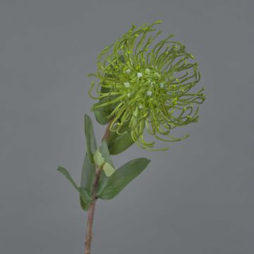 Kunst Nadelkissen Protea BAILY, grün, 55cm, Ø10cm