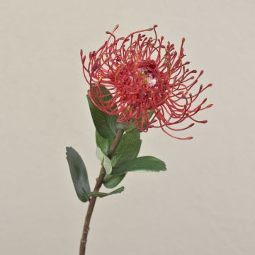 Kunst Nadelkissen Protea BAILY, rot, 55cm, Ø10cm