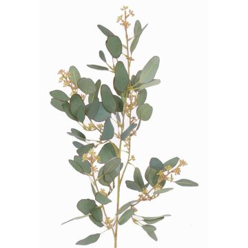 Deko Eukalyptus Zweig COBAR, blühend, crossdoor, grün, 65cm, Ø1,5cm Deko Eukalyptus Zweig COBAR, blühend, crossdoor, grün, 65cm, Ø1,5cm