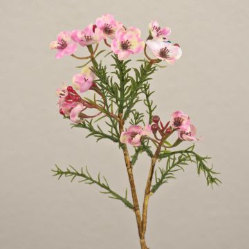 Künstliche Wachsblume AISHA, rosa, 27cm, Ø1-1,5cm