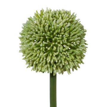 Künstliche Blume Allium MENKES, grün, 65cm