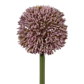 Künstliche Blume Allium MENKES, flieder, 65cm