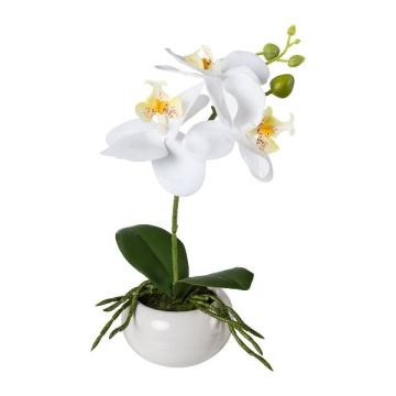 Künstliche Phalaenopsis Orchidee KASDA, Keramikschale, Wurzeln, weiß, 27cm
