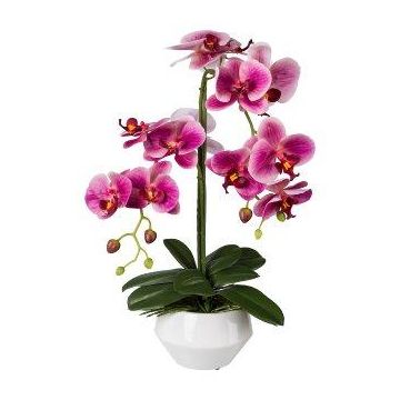 Künstliche Phalaenopsis Orchidee KASDA, Keramiktopf, Wurzeln, pink, 50cm