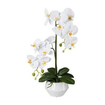 Künstliche Phalaenopsis Orchidee KASDA, Keramiktopf, Wurzeln, weiß, 50cm