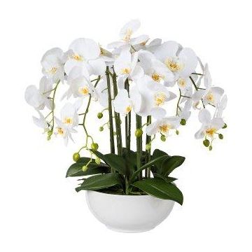 Künstliche Phalaenopsis Orchidee KASDA, Keramikschale, Wurzeln, weiß, 55cm