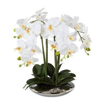 Kunst Phalaenopsis Orchidee MANULO, Keramikschale silber, Wurzeln, weiß, 40cm