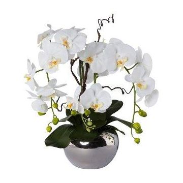 Kunst Orchidee Korkenzieherweide Gesteck LULUDI, Keramiktopf silber, Wurzeln, weiß, 55cm Kunst Orchidee Korkenzieherweide Gesteck LULUDI, Keramiktopf silber, Wurzeln, weiß, 55cm