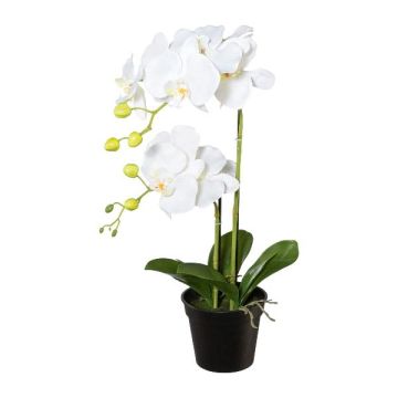 Künstliche Phalaenopsis Orchidee WENJAN, Dekotopf, Wurzeln, weiß, 55cm