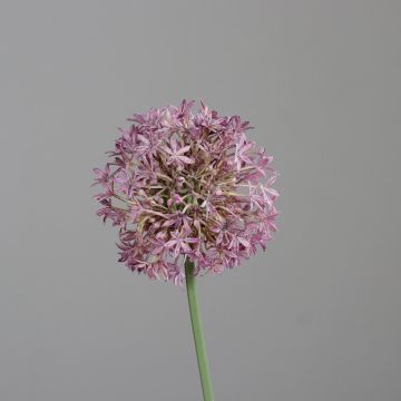 Kunstblume Zierlauch KATHRINA, violett, 70cm Kunstblume Zierlauch KATHRINA, violett, 70cm