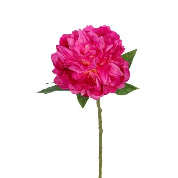 Dekoblume Pfingstrose AKIHLA, pink, 60cm