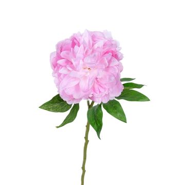 Dekoblume Pfingstrose AKIHLA, rosa, 60cm