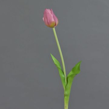 Kunsttulpe LONA, lila-grün, 45cm, Ø4cm