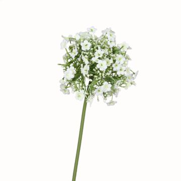 Kunstblume Zierlauch VALENTIANUS, weiß, 45cm Kunstblume Zierlauch VALENTIANUS, weiß, 45cm