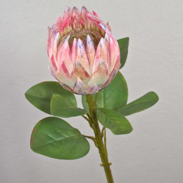 Kunst Blumenzweig Königs-Protea TANIEKA, rosa-lila-weiß, 65cm, Ø12cm