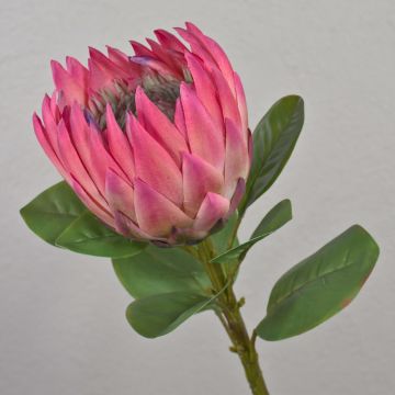 Kunst Blumenzweig Königs-Protea TANIEKA, pink-lila-grün, 65cm, Ø12cm