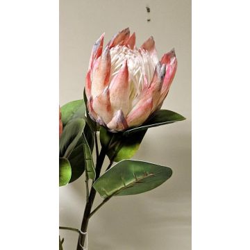 Kunst Blumenzweig Königs-Protea TANIEKA, rosa-lila-weiß, 65cm, Ø9cm