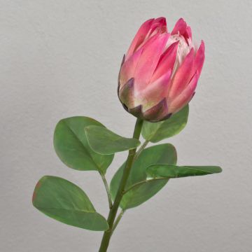 Kunst Blumenzweig Königs-Protea TANIEKA, pink-lila-grün, 65cm, Ø9cm