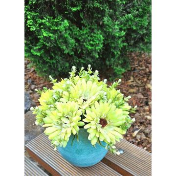 Kunst Blumenstrauß Gerbera TEMBAR, grün-creme, 30cm, Ø22cm