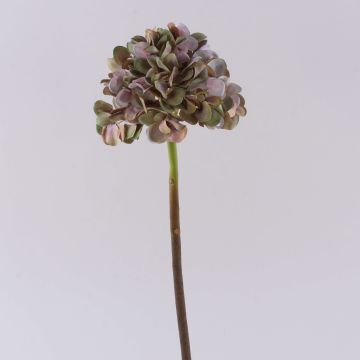 Dekoblume Hortensie MANDISA, grün-rosa, 45cm, Ø16cm