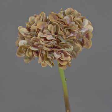 Dekoblume Hortensie MANDISA, beige-altgrün-lila, 45cm, Ø16cm