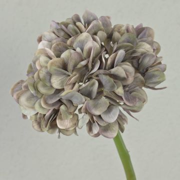 Dekoblume Hortensie MANDISA, grau-lila-grün, 45cm, Ø16cm