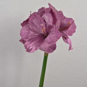 Künstliche Blume Amaryllis MARANON, violett, 70cm, Ø19cm