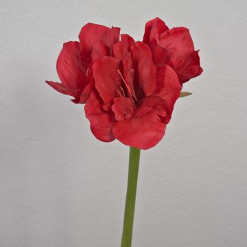 Künstliche Blume Amaryllis MARKUNO, rot, 65cm, Ø13cm