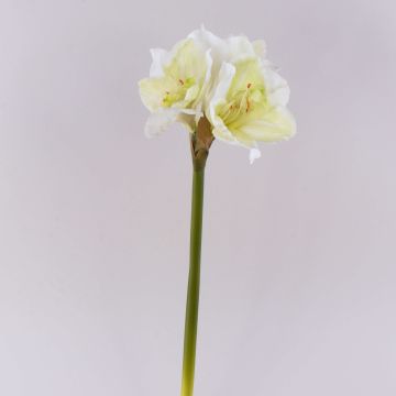 Künstliche Blume Amaryllis MARKUNO, creme-weiß, 65cm, Ø13cm