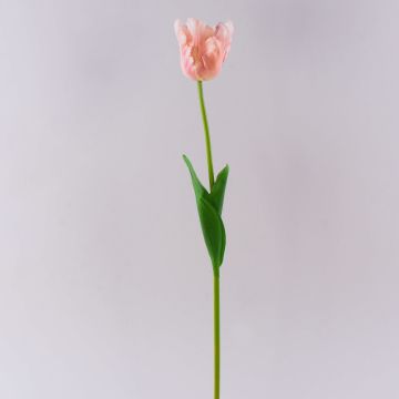 Kunststoff Blume Papageitulpe PETSCHORA, aprikose-rosa, 65cm Kunststoff Blume Papageitulpe PETSCHORA, aprikose-rosa, 65cm