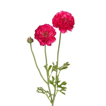 Kunstzweig Ranunkel ALIHKA, pink, 55cm