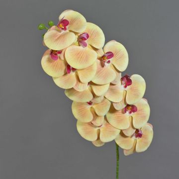 Phalaenopsis Orchideenzweig künstlich XURI, pfirsich-fuchsia, 95cm, Ø12,5cm