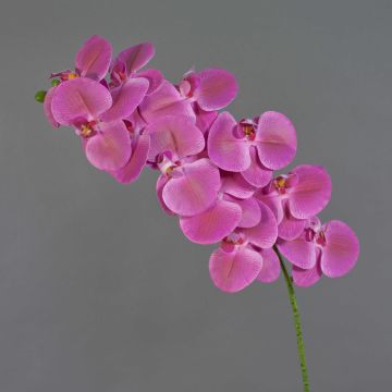 Phalaenopsis Orchideenzweig künstlich XURI, pink, 95cm, Ø12,5cm