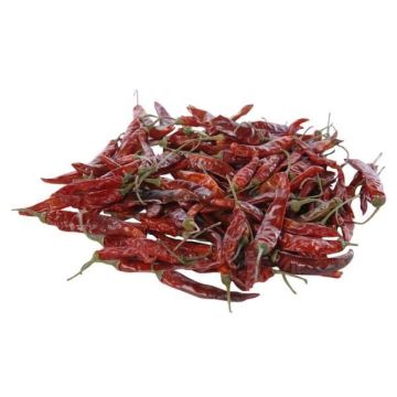 Deko Trockenfrüchte kurze Chilis RÜDIGER, rot, 4-8cm, 250g