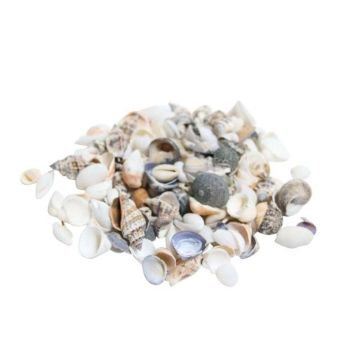 Muscheln NERINO, natur, 500g