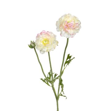 Kunstzweig Ranunkel ALIHKA, weiß-rosa, 55cm Kunstzweig Ranunkel ALIHKA, weiß-rosa, 55cm
