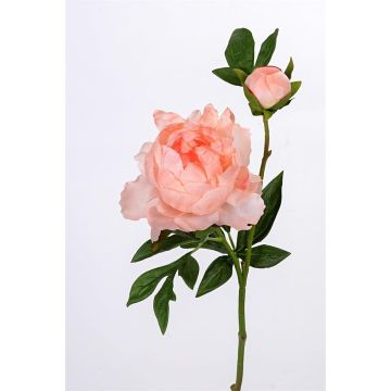 Kunstzweig Pfingstrose ALINAMA, lachs, 55cm Kunstzweig Pfingstrose ALINAMA, lachs, 55cm